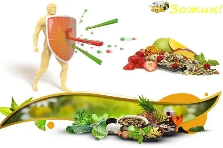 Detoplex